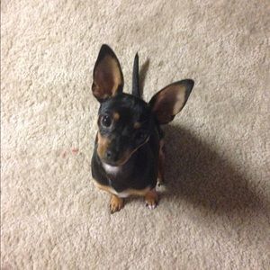 Meet your Posher, Brian